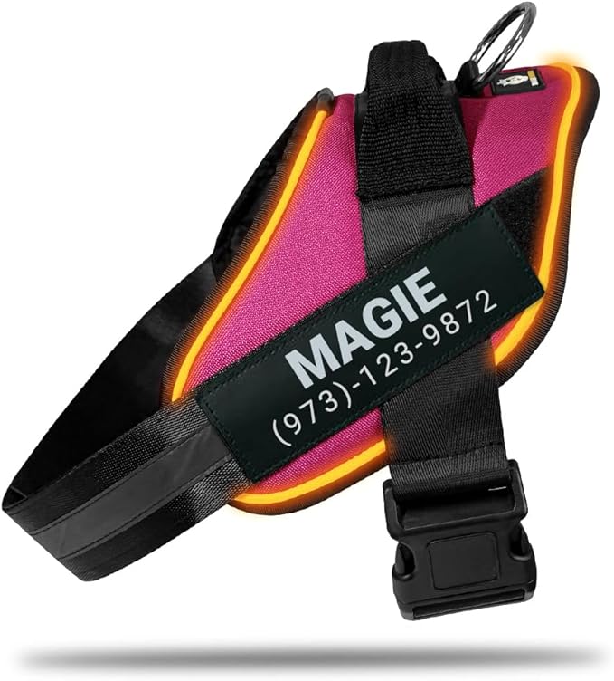 Personalized No Pull 360° LED Dog Harness with Custom Name Patches, USB Rechargeable, Adjustable, Reflective for Night Walks, Rainproof Module with 3 Modes Lasts up to 24h, Rose Red, L