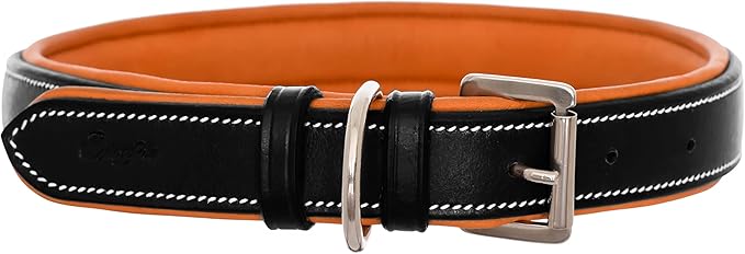 Exion Geniun Leather Dog Collar Designer Stitched Soft Leather Padded- Suitable for Small Medium Large X-Large Dogs for Walking Running Training- Black with Conker Padding
