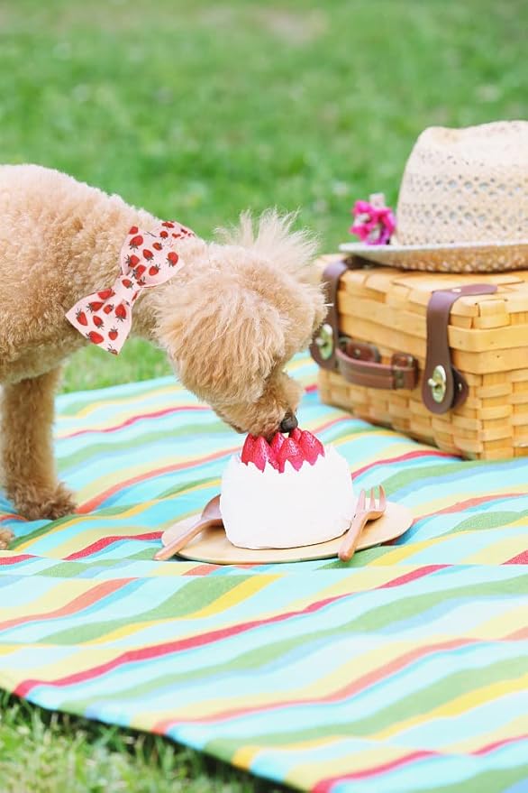 Lionet Paws Dog Collar with Bowtie - Summer Cute Cotton Adjustable Bowtie Dog Cat Collar with Metal Buckle for Puppy Girl Boy, XXS, Neck 7-11in