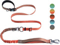 Roses&Poetry Hands Free Dog Leash for Medium Large Dogs Heavy Duty, No Pull Bungee Dog Running Waist Leash for Walking Training with Car Seatbelt 4-6FT