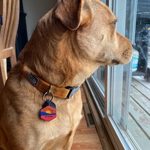 Silent Dog Tag Personalized with 5 Lines of Custom Deep Engraved Durable Soundless Silicone Pet ID Name Tag Round Mountain Blue
