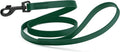 Dogline Biothane Waterproof Dog Leash Strong Coated Nylon Webbing with Black Hardware Odor-Proof Easy to Clean High Performance for Small or Large Dogs Made in USA 4 or 6 ft Lead, Hunter Green
