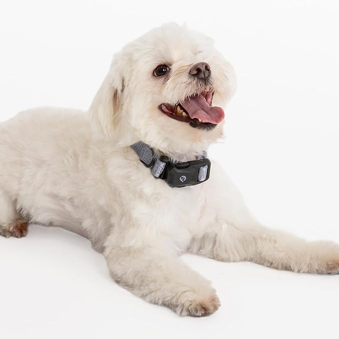 2026 New Edition, Fei & Eve MagEase Dog Collar - Patented Magnetic Buckles | Fur-Safe | Premium 210D Nylon | 450LB Escape-Proof | Adjustable Fit | Small (Twilight Gray)