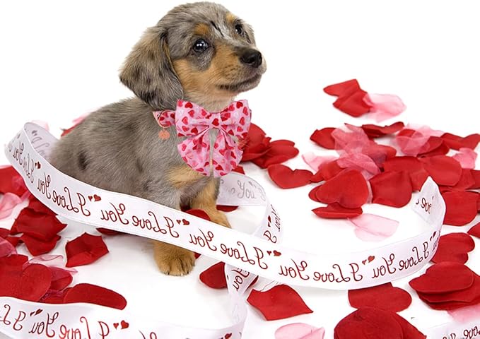 DOGWONG Valentine's Dog Collar with Sailor Bowtie - Pink Heart Adjustable Cotton Heart Dog Collar - Perfect for Small, Medium, Large Dogs