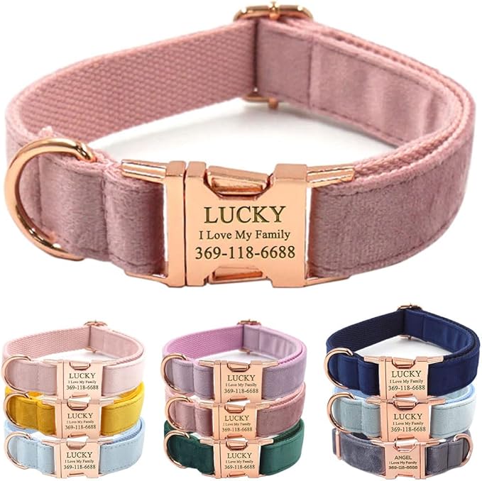 PETDURO Custom Dog Collar Personalized with Name Engraved Rose Gold Metal Buckle for Large Medium Small Girl Dogs - Dog Leash and Bow Tie Available - Soft Comfy Velvet (Champagne Pink RG, XS)