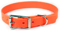 Waterproof Dog Collar (Medium: 14"-18", Orange)