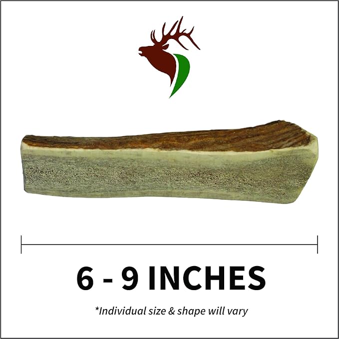 Large Split Twin Pack (for 30-50 lb Dogs) Premium Grade Elk Antlers for Dogs (2 Pieces) Sourced in The USA