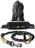 SparklyPets Hands Free Dog Leash for Medium and Large Breeds – Professional Harness with Reflective Stitches for Training, Walking, Jogging and Running Your Pet (Premium Gold Champagne, for 1 Dog)