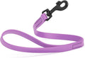 Dogline Biothane Waterproof Dog Leash Strong Coated Nylon Webbing with Black Hardware Odor-Proof Easy to Clean High Performance for Small or Large Dogs Made in USA 2 ft Lead, Amethyst Purple