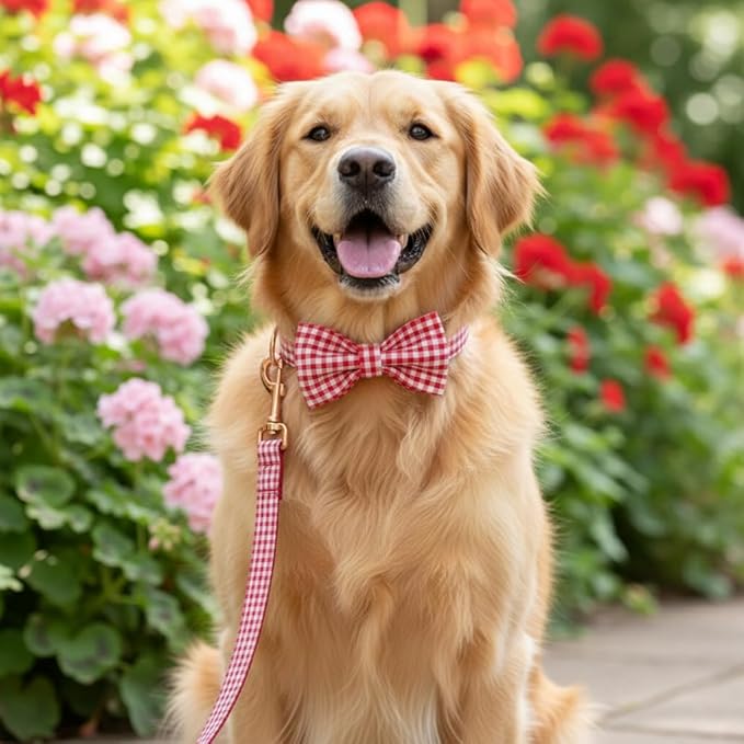 PETDURO Personalized Gingham Plaid Dog Collar Red - Engraved Name and Phone Number on Rose Gold Metal Buckle - Custom for Small Medium Large Boy Girl Dogs - Add Leash Bow Tie via Customize Now