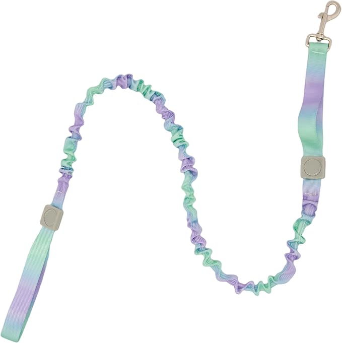 Dual Handles Bungee Dog Leash, Ombré Color Shock-Absorbing Dog Leash with 360° Swivel Clasp, for Small to Medium Dogs (4 – 5.5 ft) (Violet-Green Ombré)