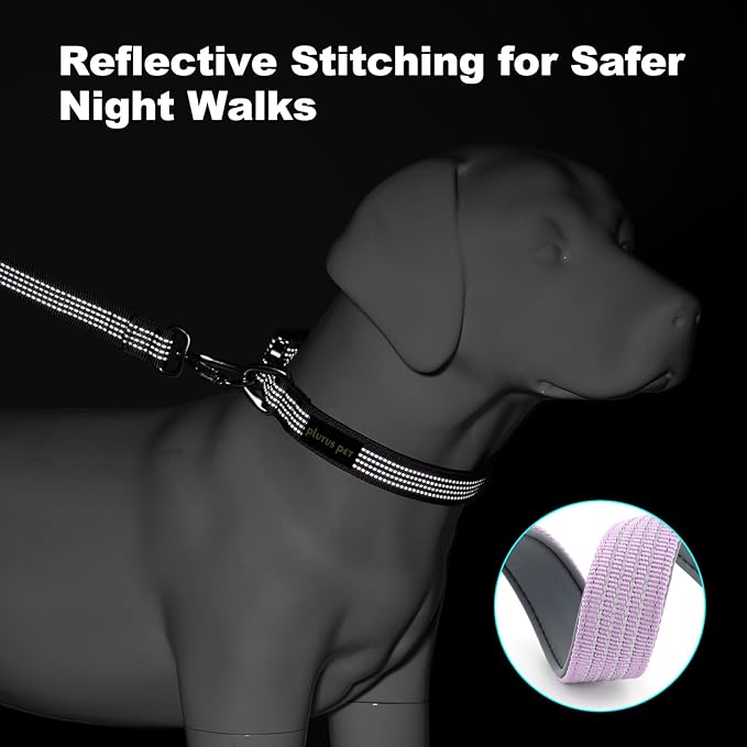 Plutus Pet Reflective Dog Collar with Aviation Aluminum Buckle, Neoprene Padded for Comfort, Lightweight, Heavy Duty Nylon Collar for Puppy Small Medium Large Dogs (Lilac Purple, XL)
