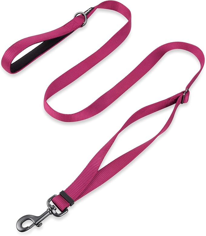 Hyhug Nylon Adjustable 4-6ft Dog Leash with Soft Neoprene Padded Handle, Durable Heavy Duty Leash with Easy-to-Use Bolt Snap, Ideal for Jogging Outdoor