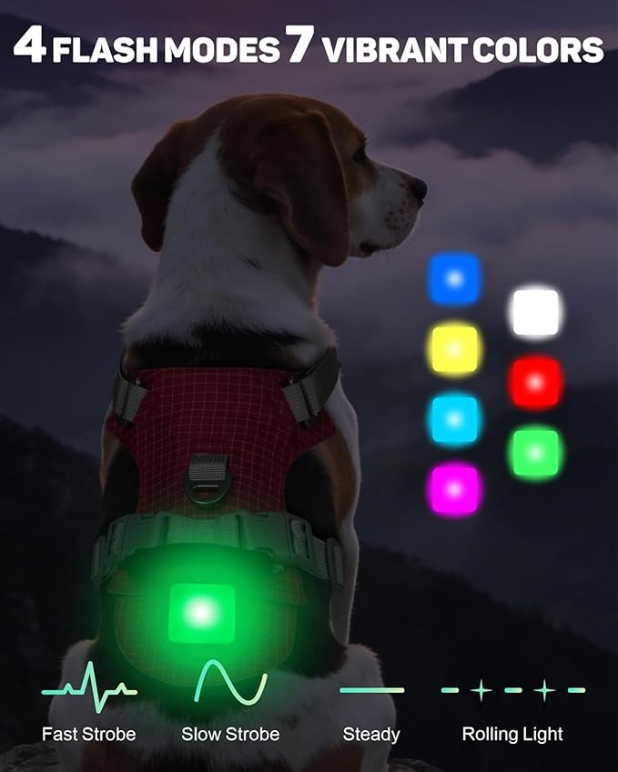 TagME No Pull Dog Harness with 2 Leash Clips,Lightweight & Visible for All-Day Walking,No Choke Pet Vest Includes AirTag Holder for Medium Dogs,Melon Red