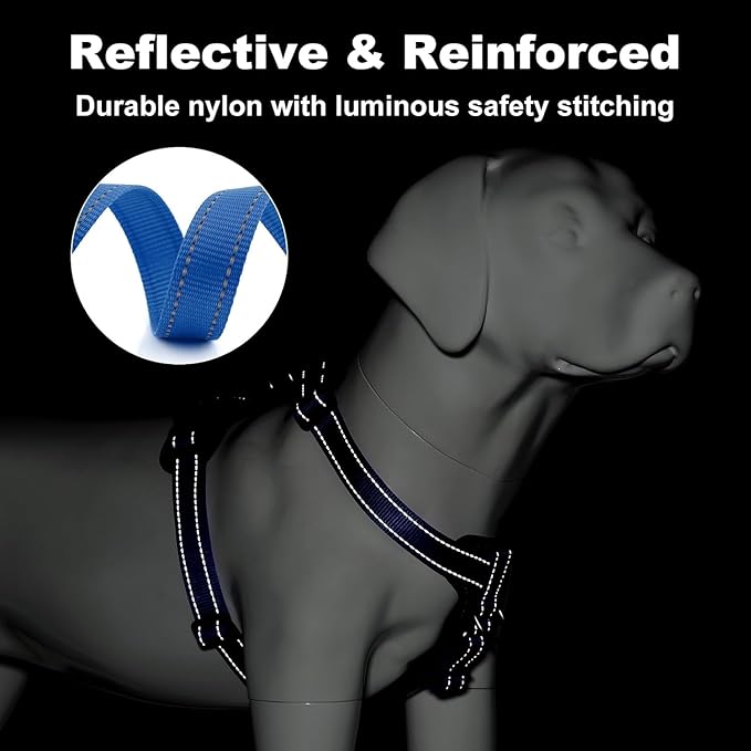 Dog Harness and Leash Combo Set, Magnetic Connection, Ergonomic Design (Bahama Blue, Small)