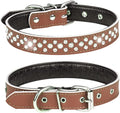Rhinestones Dog Collar, Adjustable Sparkly Crystal Studded Genuine Leather Pet Dog Collar for Small and Medium Breeds (M fit Neck 12-15", Brown)