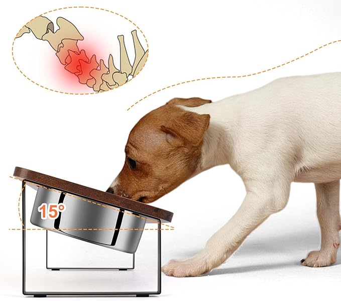 Yummy Sam 15° Tilted Raised Stainless Steel Dog Food and Water Bowl Set, Elevated Pet Bowls with Stand Double Food Feeding Dishes for Medium Dogs and Large Cats