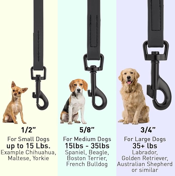 Dogline Biothane Waterproof 4ft Dog Leash Strong Coated Nylon Webbing with Black Hardware Odor-Proof Easy to Clean High Performance for Small or Large Dogs Made in USA 4ft Lead, Black