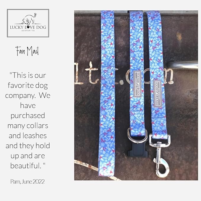 Lucky Love Dog Martingale Dog Collar - Adjustable, No-Slip, Durable, & Soft Webbing Collar for Male and Female Dogs Ideal for Training & Walking - Winterblue, Medium