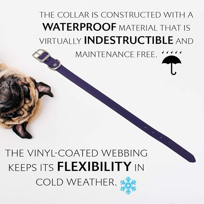 Regal Dog Products Large Purple Waterproof Dog Collars with Custom Engraved Name Plate | Vinyl Coated, Anti, Easy to Clean Personalized Biothane Dog Collar - Other Sizes for Small & Medium Dogs
