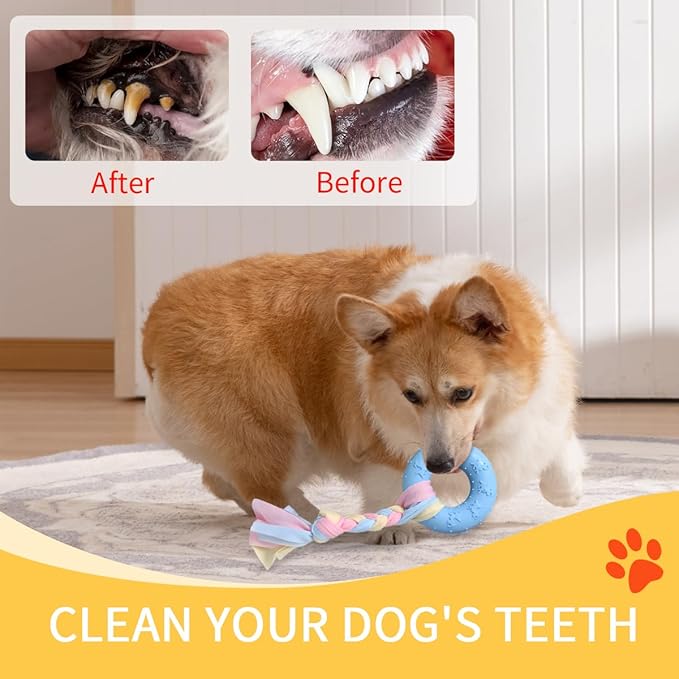 Cats and Dogs decompress from hi Toys Environmental Protection Material Puppy Supplies for Puppy Puppy chew Toys Dog Toy for Teething Teething Toys for Small Puppies