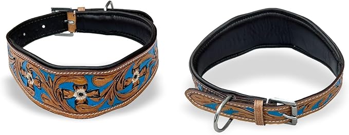 Majestic Ally Leather Dog Collar with Adjustable, Padded Fit for Walking, Hiking, and Running, Designer Western Wear for Puppies, Fancy Colors (Royal Blue - Natural, Extra Large)