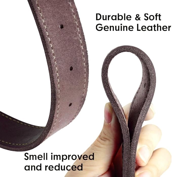 Didog Genuine Leather Dog Collars with Engraved Nameplate, Personalized Soft Leather Dog Collar with Custom ID Tag, Brown/Green/Red for Small Dogs (M,Brown)