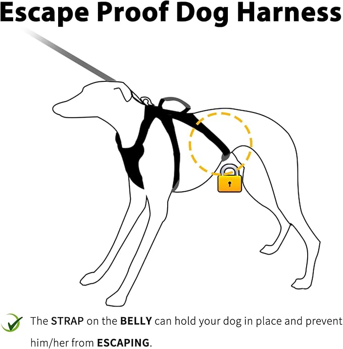 Huntboo No Escape Dog Harness, Escape Proof Harness, Fully Reflective Harness with Padded Handle, Breathable, Durable, Adjustable Vest for Small Dogs Walking,Training,and Running Gear(Red,S)