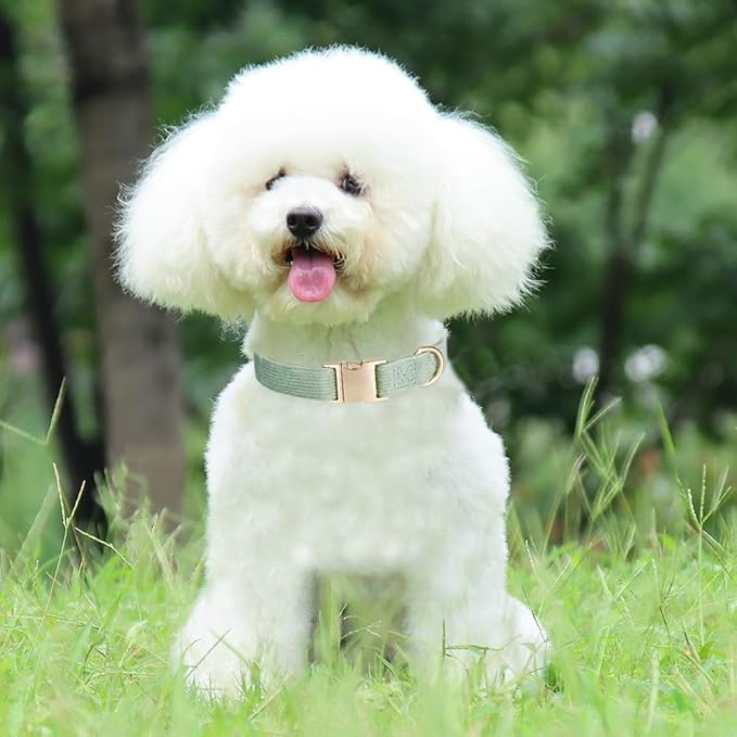 Soft Cotton Dog Collar with Metal Buckle Adjustable Heavy Duty Comfy Corduroy Collars for Small Medium Large Dogs,Grass Green,Medium