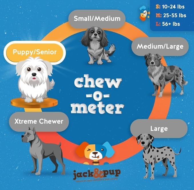 Jack&Pup 12 Inch Junior Bully Stick Dog Chew - Single Ingredient, All Natural Puppy Treat Chews - Great for Teething Puppies (5 Pack)