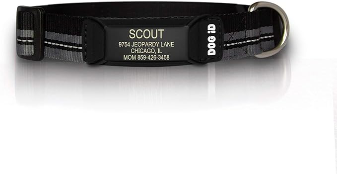 The Rock Solid Collar ID (Graphite Black, Small)