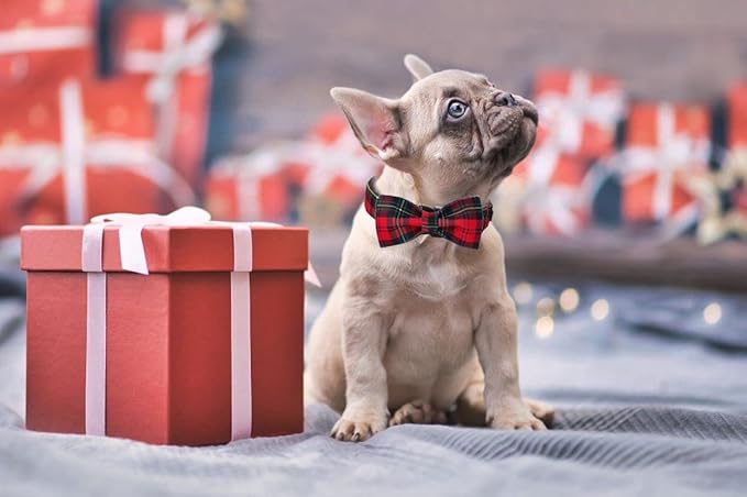 Lionet Paws Christmas Dog Collar with Bowtie, Dog Bowtie Collar with Metal Buckle for Dogs, Adjustable Comfortable Dog Collar Girl Boy Gift, XL, Neck 16-26 in