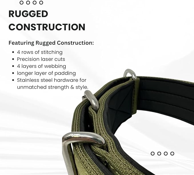 SparkDog Collars Working Dog Collar - 2" 4ply Padded Dog Collar Heavy Duty Stainless Steel Tactical Seatbelt Wide Buckle Collar (OD Green 2.0, 16-21" Large)