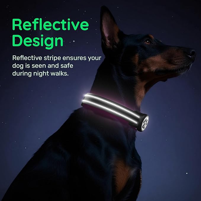 Airtag Dog Collar, Reflective Ultra-Durable Nylon Padded with QR Code Buckle & IP68 Waterproof Air Tag Holder Compatible for Apple AirTag, Comfortable for Small Medium Large Dogs (Black, XS)