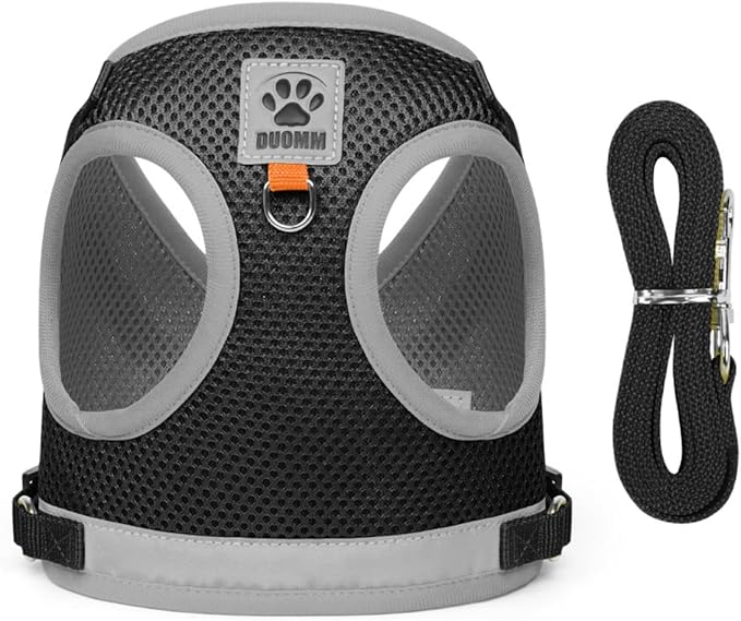Dog Harness and Leash Set-No Pull No Choke Step-in Pet Harness for All Weather Lightweight Adjustable Cat Harness Breathable Soft Mesh Puppy Vest with Hook & Loop Fastener Buckles D-Rings-Black-XL