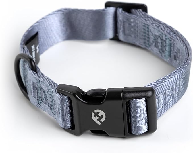 Fei & Eve Classic Dog Collar, Heavy Duty Adjustable Nylon Dog Collars with Quick-Release Buckle, Stylish & Comfortable for Daily Use, Sky Blue, M