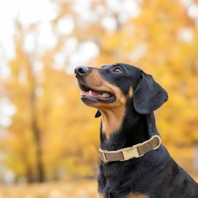 Soft Cotton Hemp Dog Collar with Metal Buckle Adjustable Tweed Dog Collars for Small Medium Large Dogs(Coffee,Small)