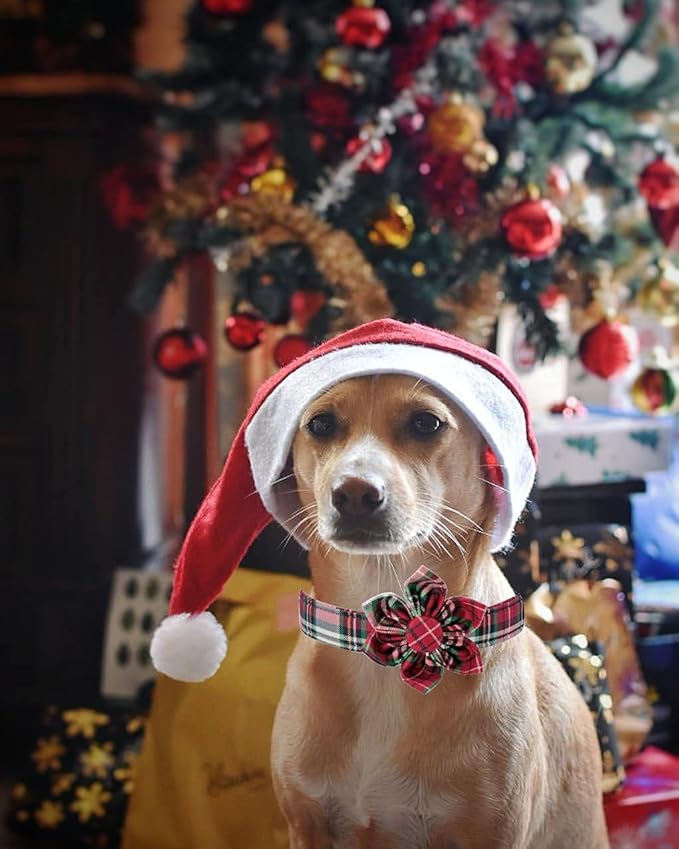 Elegant little tail Flower Christmas Dog Collar for Female or Male Dogs, Gift Pet Collar Adjustable Dog Collars for X-Large Dogs