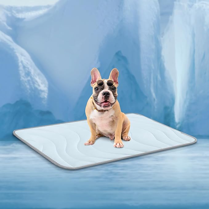 Cozyide Dog Cooling Mat, Large Cooling Mat for Dogs, Reversible Pad for Pet, 36" L x 23" W,Blue