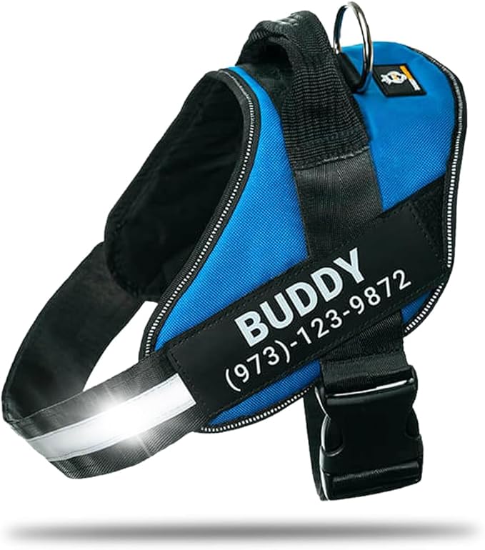 Personalized No-Pull Dog Harness with Name Patch, Adjustable, Reflective, Padded, Heavy Duty Pet Vest to Prevent Tugging, Pulling, or Choking, Training and Walking, Blue, XL