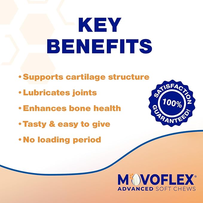 MOVOFLEX Advanced Soft Chews Hip Joint Support Supplement for Large Dogs 60 Count by Virbac