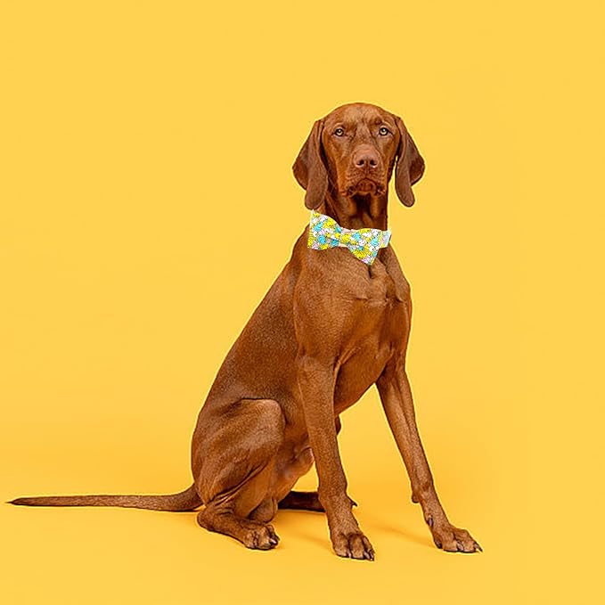 Elegant little tail Dog Collar- Cute Duck Dog Collar with Bow for Large Dogs, Female or Male Adjustable Cotton Summer Pet Bow Holiday Puppy Collar for Small Medium Large Dogs