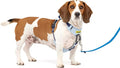 PetSafe Easy Walk Comfort No-Pull Dog Harness - Better Walk Training Harness - Full Body Padded Design - Durable Fabric - 5 Point Adjustable Fit - Everyday Leash Training - Blue - Small/Medium