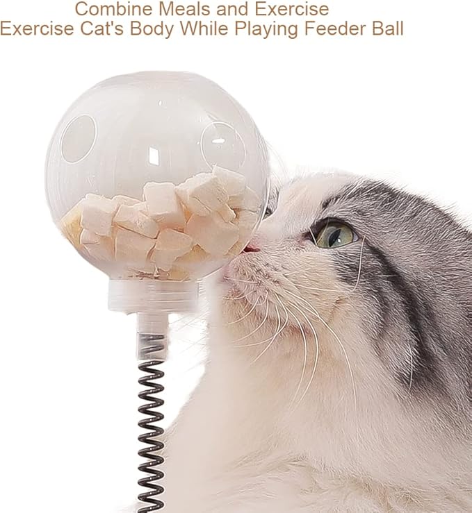 Marchul Cat Ball Toy with Treat Ball, Kitten Treat Dispenser with Roller Track Catnip Balls, Interactive Cat Toys Wooden for Indoor Kitten, Food Toy with Automatic Slow Feeder