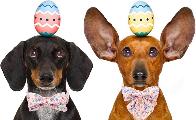 DOGWONG Easter Day Dog Collar-Cute Rabbit Easter Dog Collar with Bow, Cotton Eggs Dog Collars with Metal Buckle for Small Medium Large Dogs