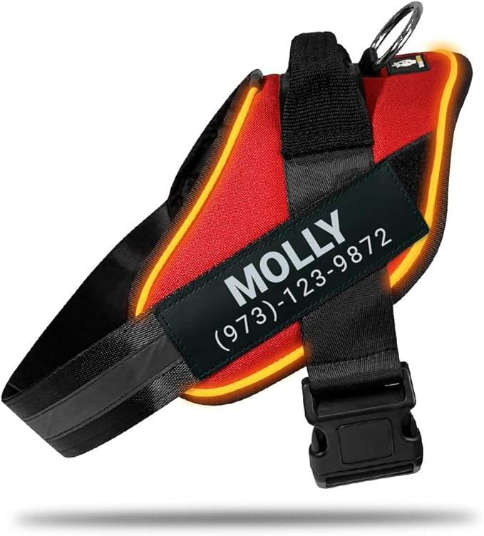 Personalized No Pull 360° LED Dog Harness with Custom Name Patches, USB Rechargeable, Adjustable, Reflective for Night Walks, Rainproof Module with 3 Modes Lasts up to 24h, Red, 2XL