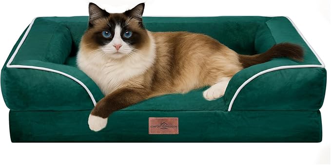 Comfort Expression Orthopedic Dog Bed for Small Dogs 20x14 Inch, Waterproof Supportive Egg Crate Foam Small Pet Bed with Removable Bolsters, Dog Couch with Washable Cover & Non-Slip Bottom, Emerald