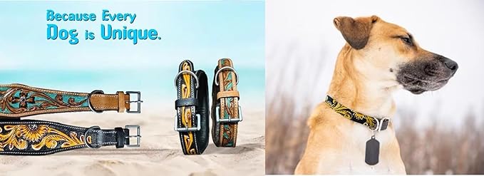Majestic Ally Genine Leather Dog Collar with Adjustable, Padded Fit for Walking, Hiking, and Running, Designer Western Wear for Puppies, Fancy Customized Colors (Sunflower-Black-Yellow, Large)