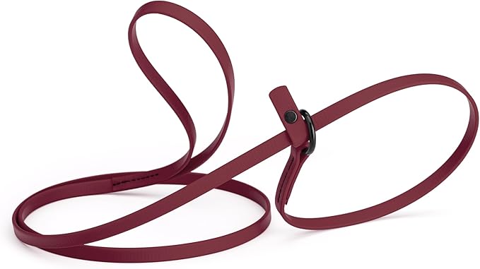 Dogline Biothane Slip Dog Leash - for Small, Medium and Large Dogs - Odor Free Slip Lead, Heavy Duty and Durable Material Kennel Lead - Merlot Burgundy - 5ft L x 3/8in W