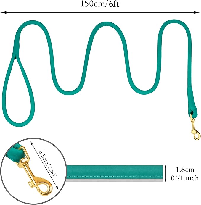 OOPSDOGGY Reflective Rolled Leather Dog Leash 6ft - Soft Training Lead for Small Medium Large Dogs Puppy - Heavy Duty Rope Puppies Leashes for Outdoor Walking Running (Teal, Small)